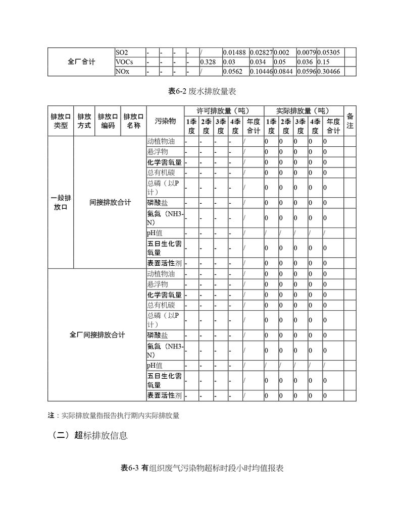 2022年度排污许可证执行报告年报_page-0020